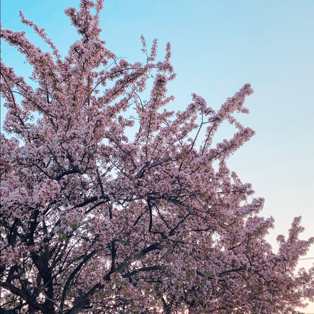 Meet your Posher, Chloe